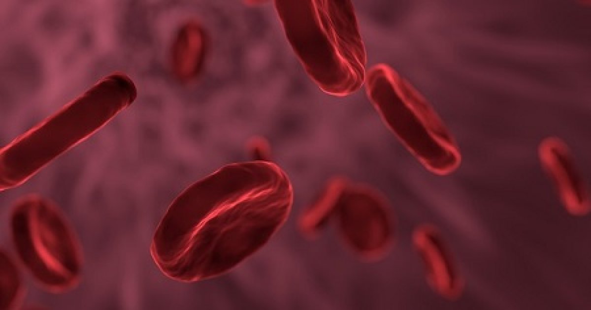 Vér a vizeletben a prostatitis miatt
