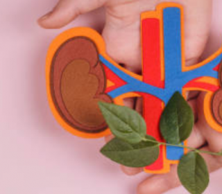 Nők urológiai szűrése: Mikor és miért fontos?