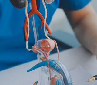 Prosztata megnagyobbodás