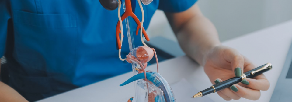 Prosztata megnagyobbodás