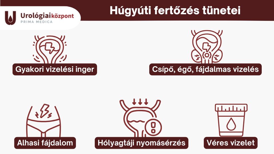 Húgyúti fertőzés tünetei - Urológiai Központ