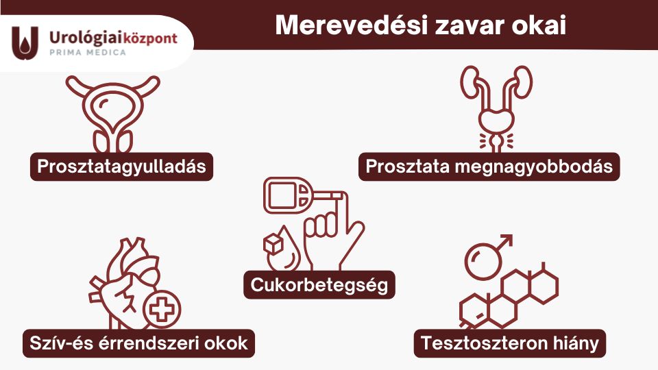Merevedési zavar okai - Urológiai Központ